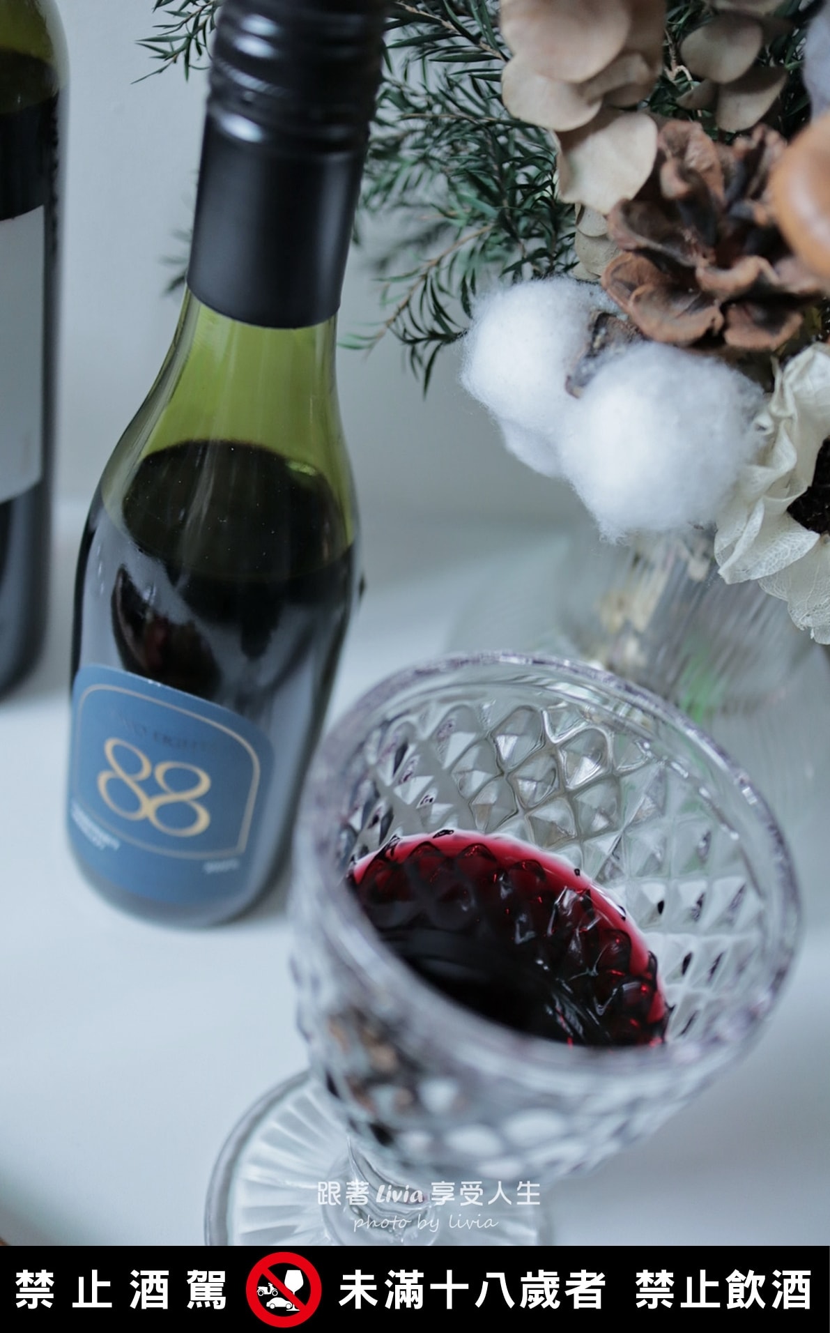 喬山生機推薦|Handpicked Wines首彩紅酒評價|88經典紅酒好喝嗎?88小紅酒+OK超商葡萄酒分享 - 第13張圖 喬山生機推薦|Handpicked Wines首彩紅酒評價|88經典紅酒好喝嗎?88小紅酒+OK超商葡萄酒分享