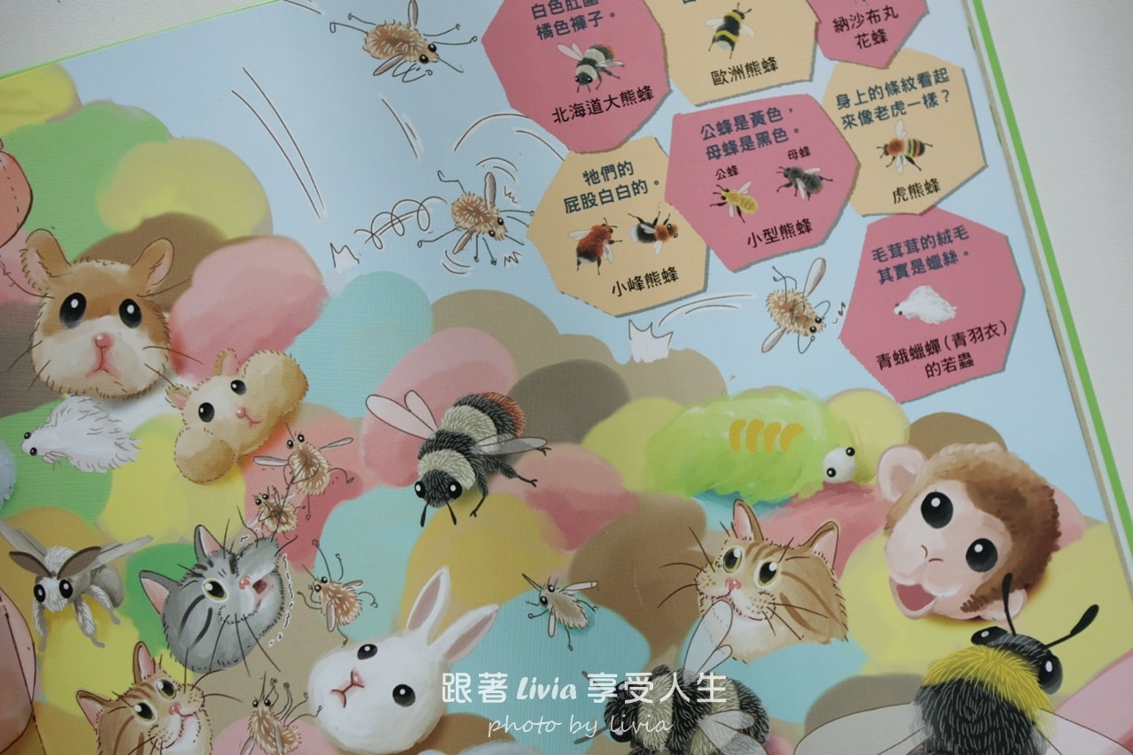 親子共讀｜一翻開就全家安靜的找一找遊戲書｜超有趣的找一找昆蟲圖鑑＆超有趣的找一找魚類圖鑑｜小角落文化