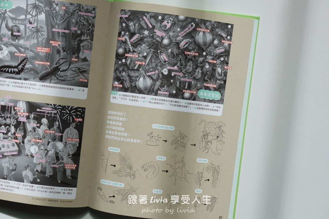 親子共讀｜一翻開就全家安靜的找一找遊戲書｜超有趣的找一找昆蟲圖鑑＆超有趣的找一找魚類圖鑑｜小角落文化