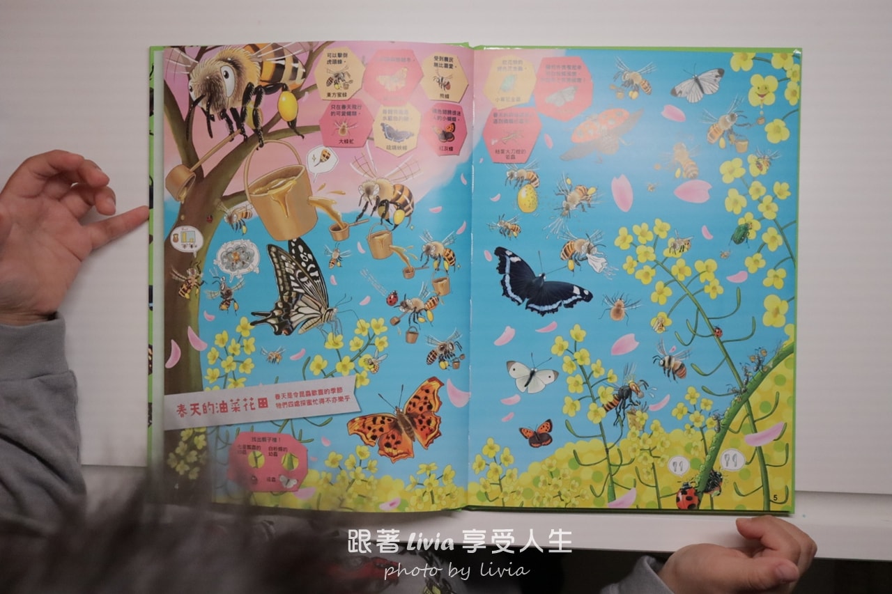 親子共讀｜一翻開就全家安靜的找一找遊戲書｜超有趣的找一找昆蟲圖鑑＆超有趣的找一找魚類圖鑑｜小角落文化
