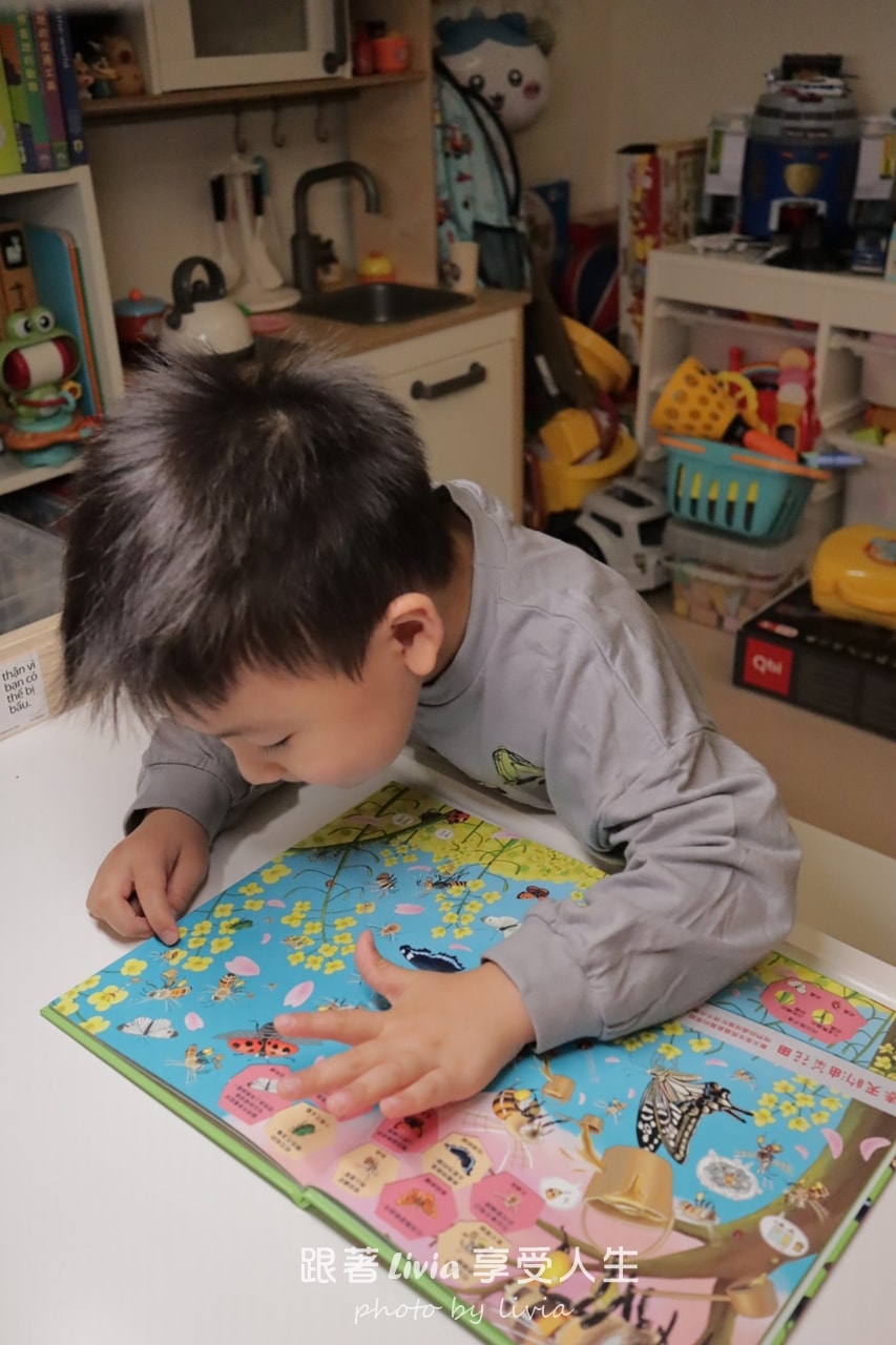 親子共讀｜一翻開就全家安靜的找一找遊戲書｜超有趣的找一找昆蟲圖鑑＆超有趣的找一找魚類圖鑑｜小角落文化