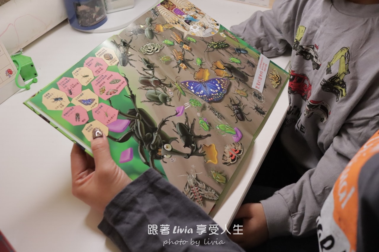 親子共讀｜一翻開就全家安靜的找一找遊戲書｜超有趣的找一找昆蟲圖鑑＆超有趣的找一找魚類圖鑑｜小角落文化