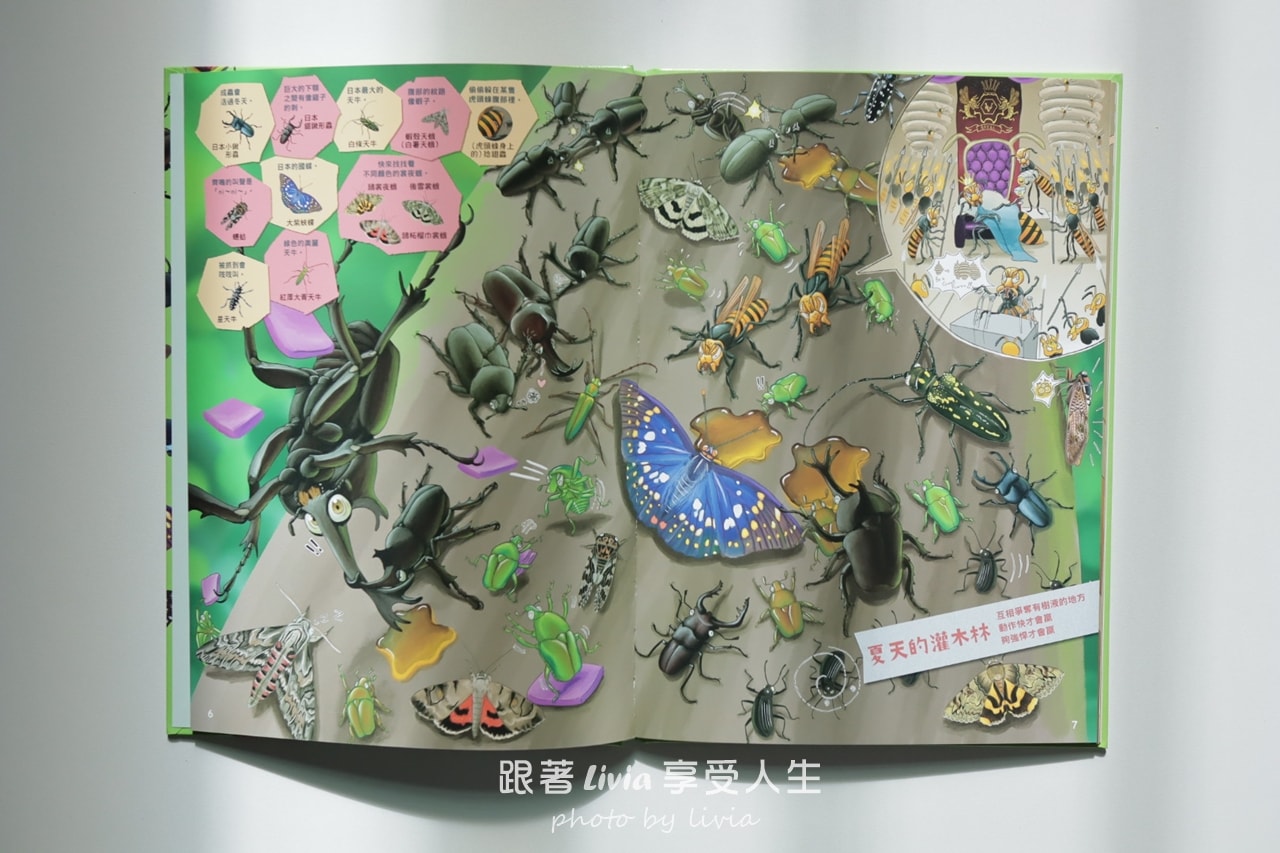 親子共讀｜一翻開就全家安靜的找一找遊戲書｜超有趣的找一找昆蟲圖鑑＆超有趣的找一找魚類圖鑑｜小角落文化
