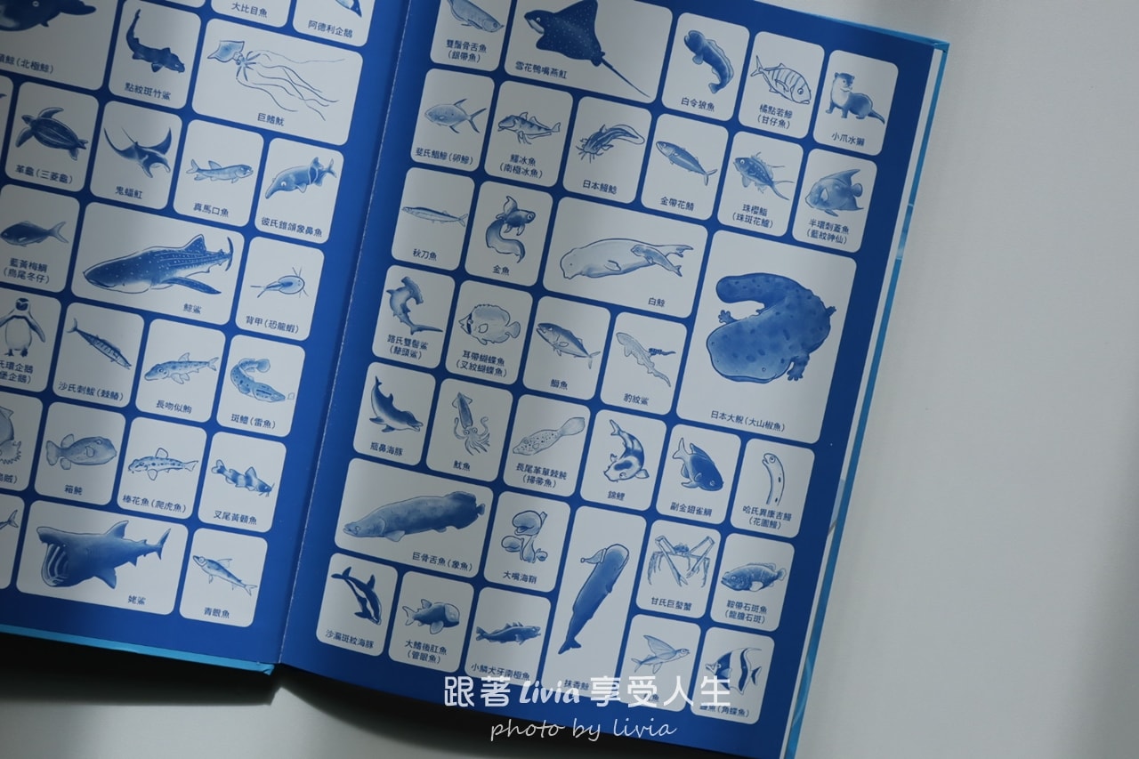 親子共讀｜一翻開就全家安靜的找一找遊戲書｜超有趣的找一找昆蟲圖鑑＆超有趣的找一找魚類圖鑑｜小角落文化