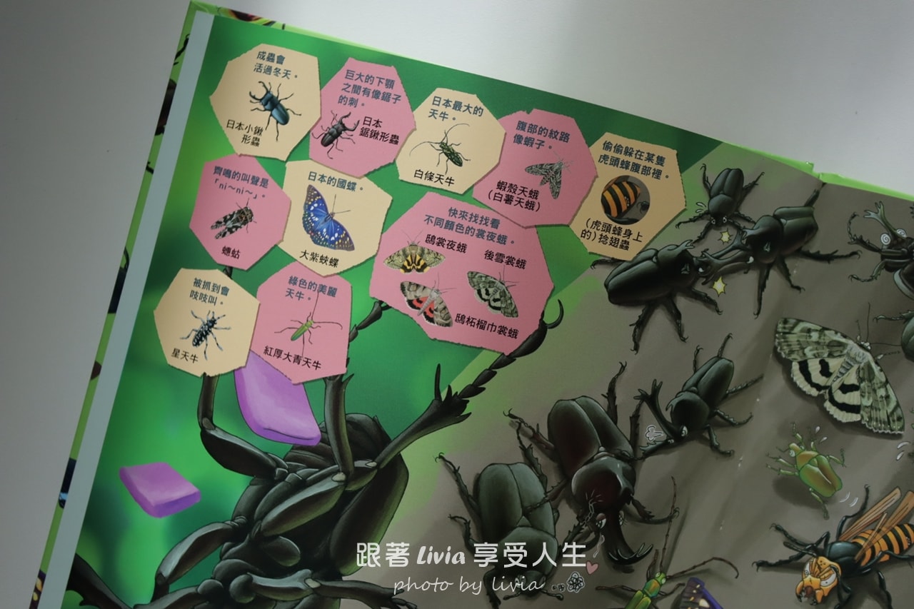 親子共讀｜一翻開就全家安靜的找一找遊戲書｜超有趣的找一找昆蟲圖鑑＆超有趣的找一找魚類圖鑑｜小角落文化