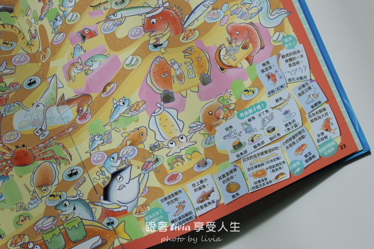 親子共讀｜一翻開就全家安靜的找一找遊戲書｜超有趣的找一找昆蟲圖鑑＆超有趣的找一找魚類圖鑑｜小角落文化
