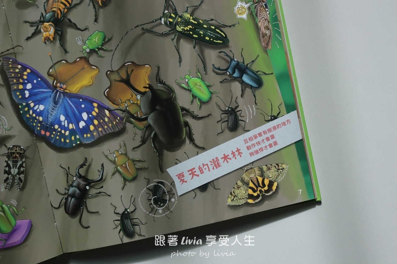 親子共讀｜一翻開就全家安靜的找一找遊戲書｜超有趣的找一找昆蟲圖鑑＆超有趣的找一找魚類圖鑑｜小角落文化