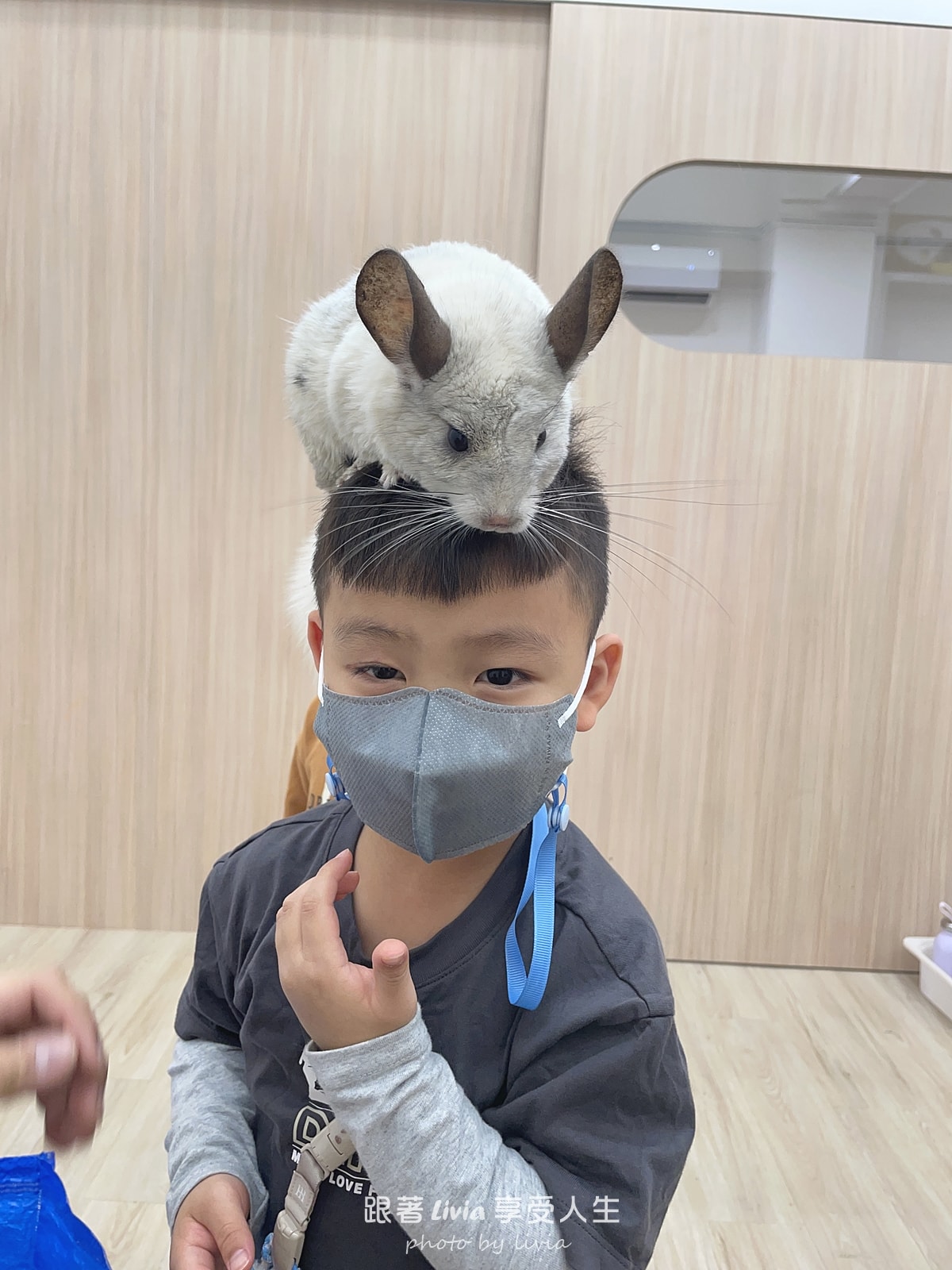 孩子玩得開心，大人也能安心放手｜台北冬令營 兜樂 TOTally KiDs 共學教室分享