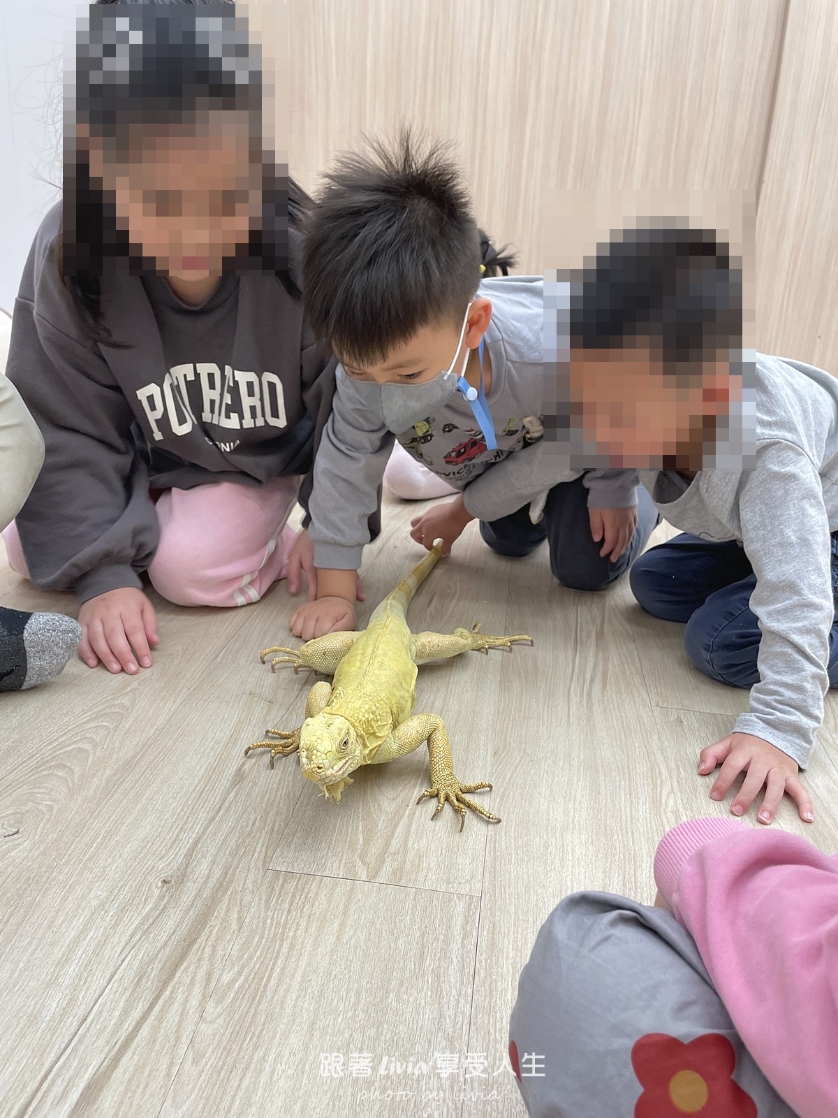 孩子玩得開心，大人也能安心放手｜台北冬令營 兜樂 TOTally KiDs 共學教室分享