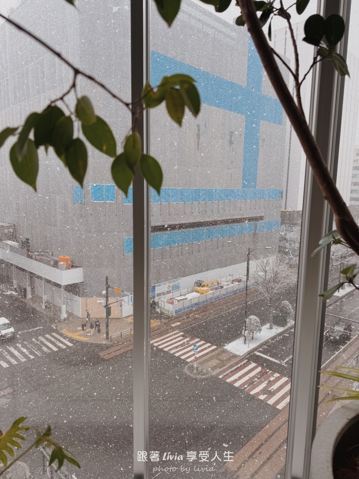 北海道室內親子景點｜AOAO SAPPORO水族館 狸小路必去！下雨下雪都能玩！