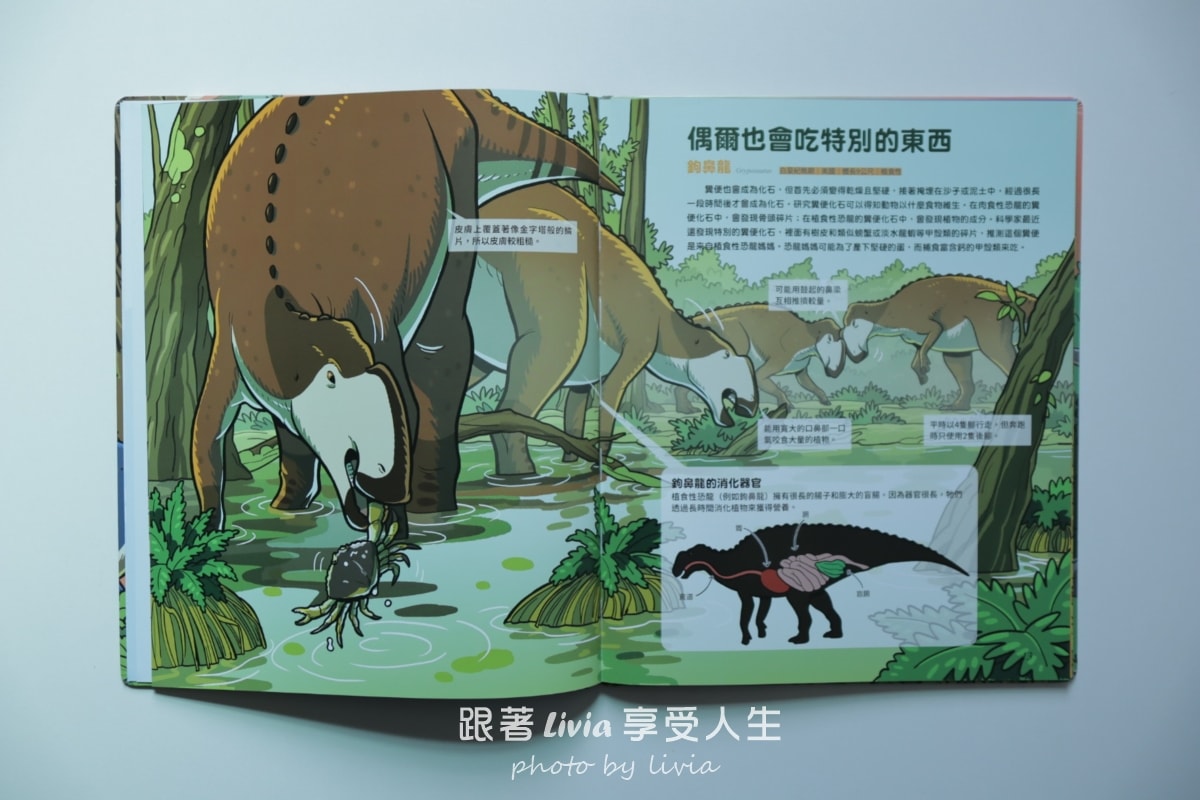 親子共讀｜驚奇的恐龍世界共三本 從第一頁就停不下來的恐龍知識冒險｜小角落文化