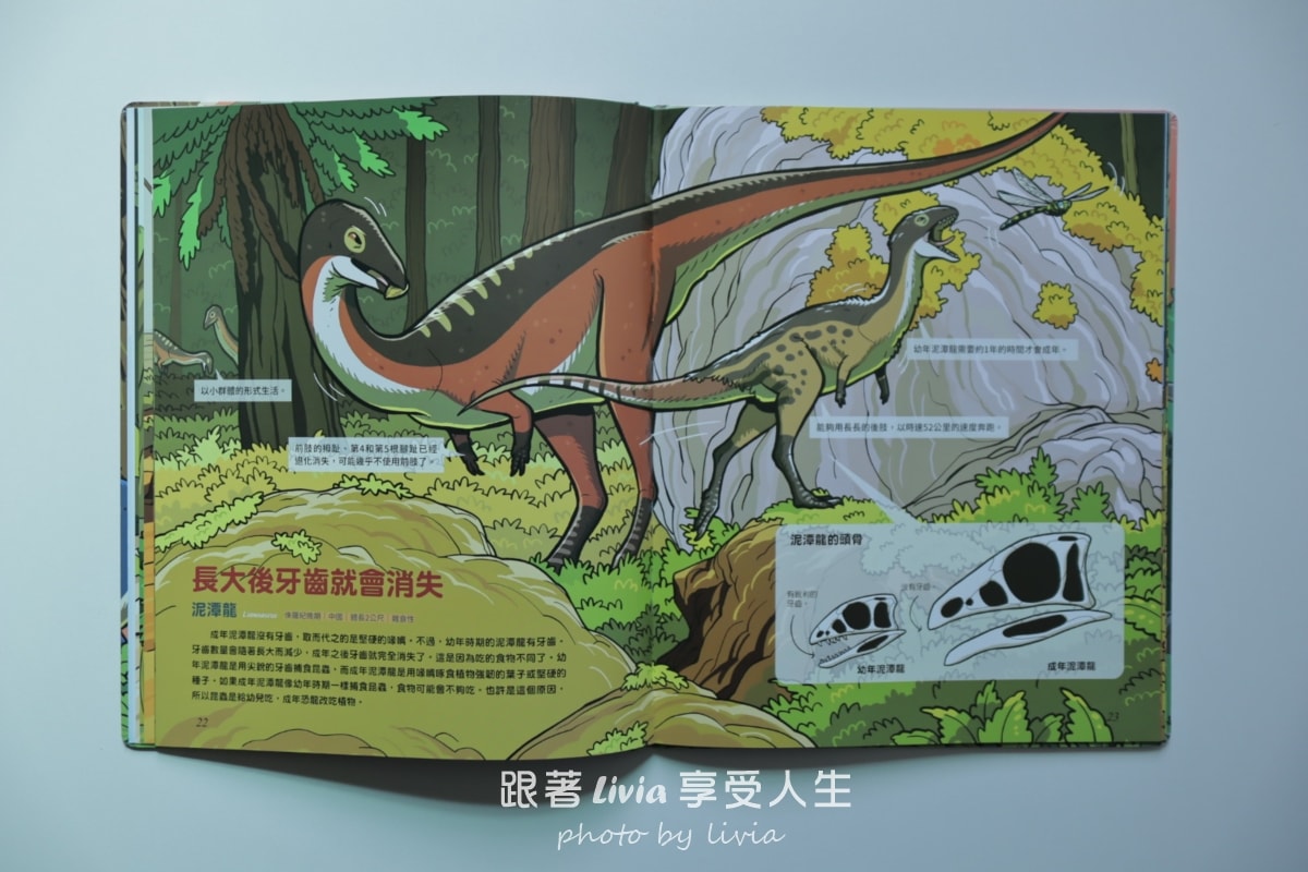 親子共讀｜驚奇的恐龍世界共三本 從第一頁就停不下來的恐龍知識冒險｜小角落文化