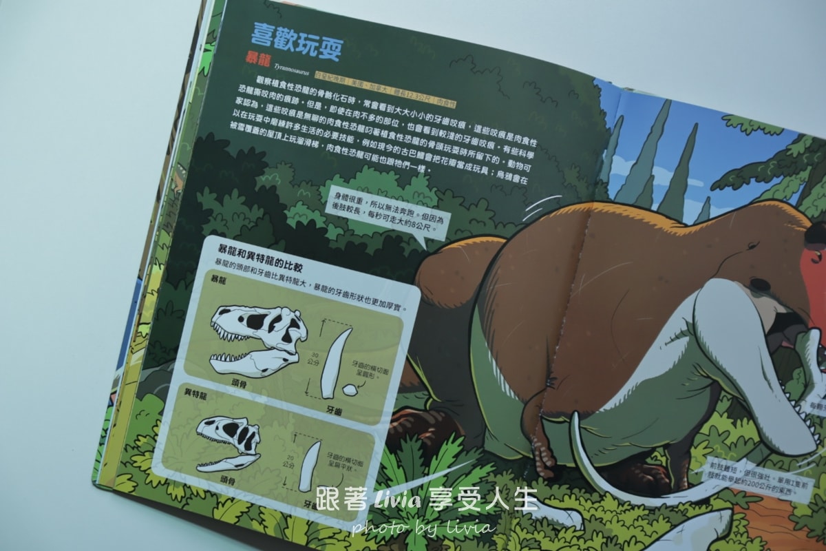 親子共讀｜驚奇的恐龍世界共三本 從第一頁就停不下來的恐龍知識冒險｜小角落文化