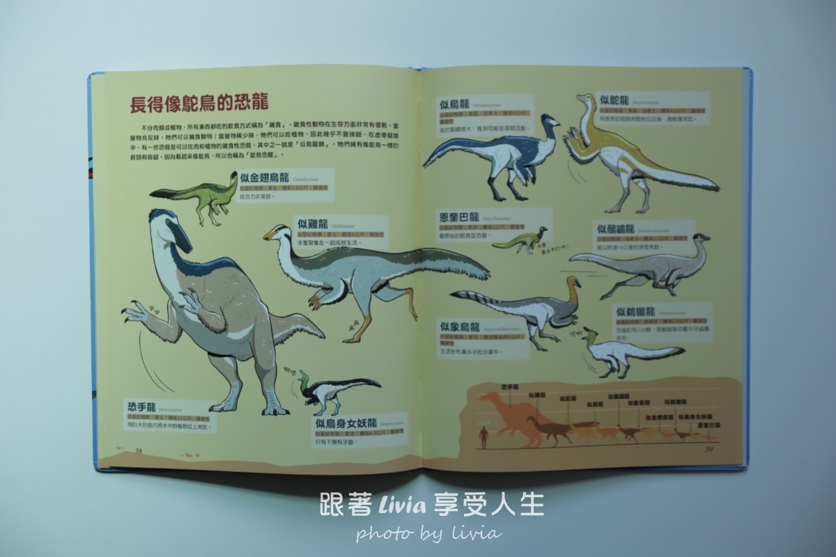 親子共讀｜驚奇的恐龍世界共三本 從第一頁就停不下來的恐龍知識冒險｜小角落文化