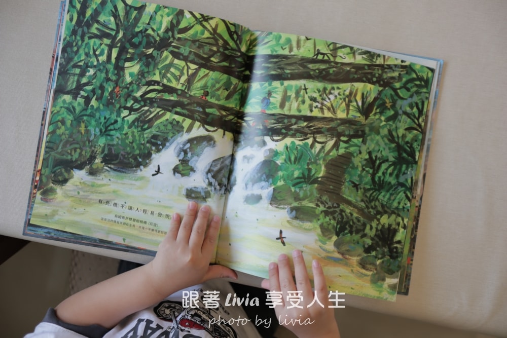 橋不只是建築，是走向彼此的路｜親子閱讀分享 全世界最特別的橋梁｜采實文化