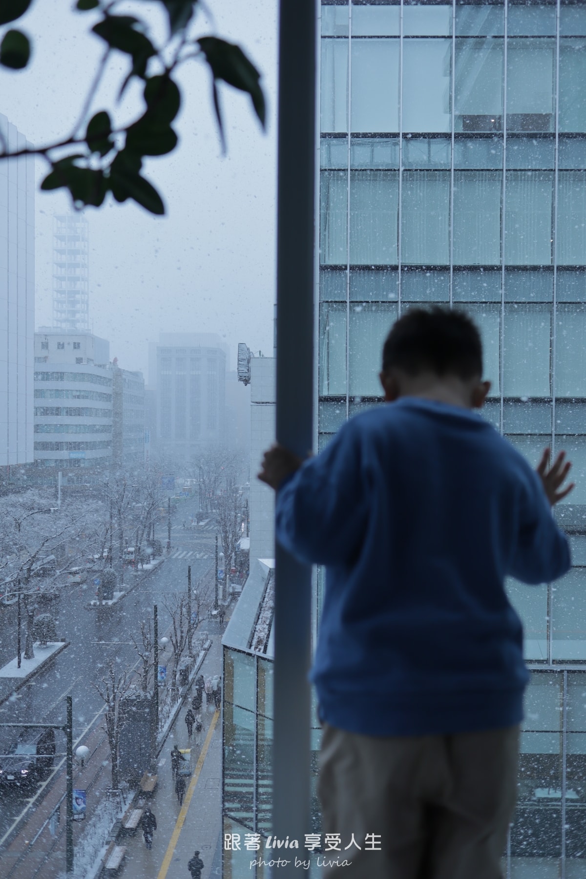 北海道室內親子景點｜AOAO SAPPORO水族館 狸小路必去！下雨下雪都能玩！
