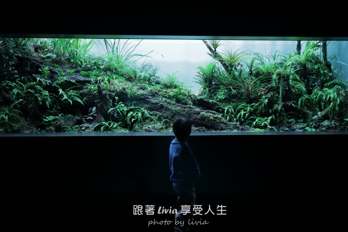 北海道室內親子景點｜AOAO SAPPORO水族館 狸小路必去！下雨下雪都能玩！