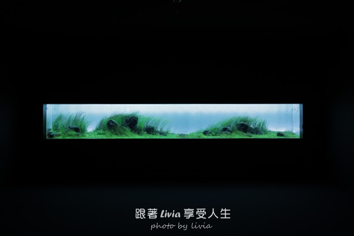 北海道室內親子景點｜AOAO SAPPORO水族館 狸小路必去！下雨下雪都能玩！