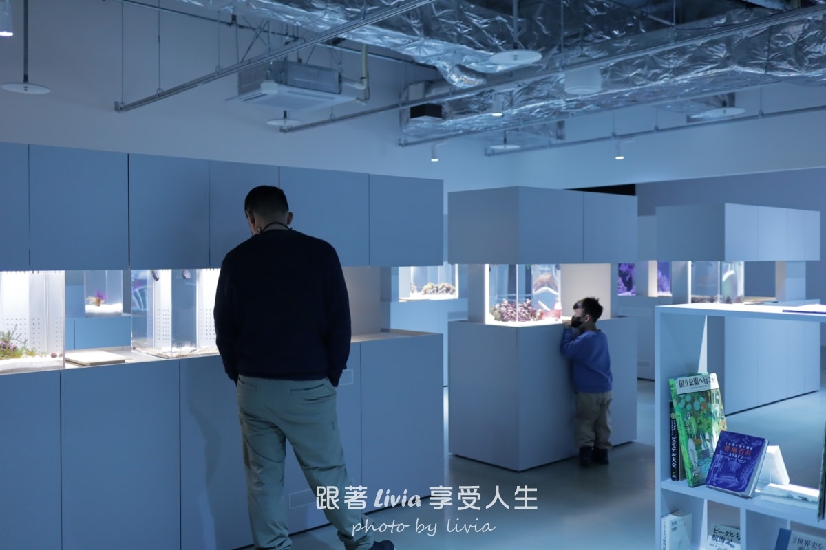 北海道室內親子景點｜AOAO SAPPORO水族館 狸小路必去！下雨下雪都能玩！