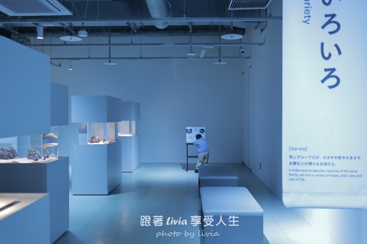 北海道室內親子景點｜AOAO SAPPORO水族館 狸小路必去！下雨下雪都能玩！