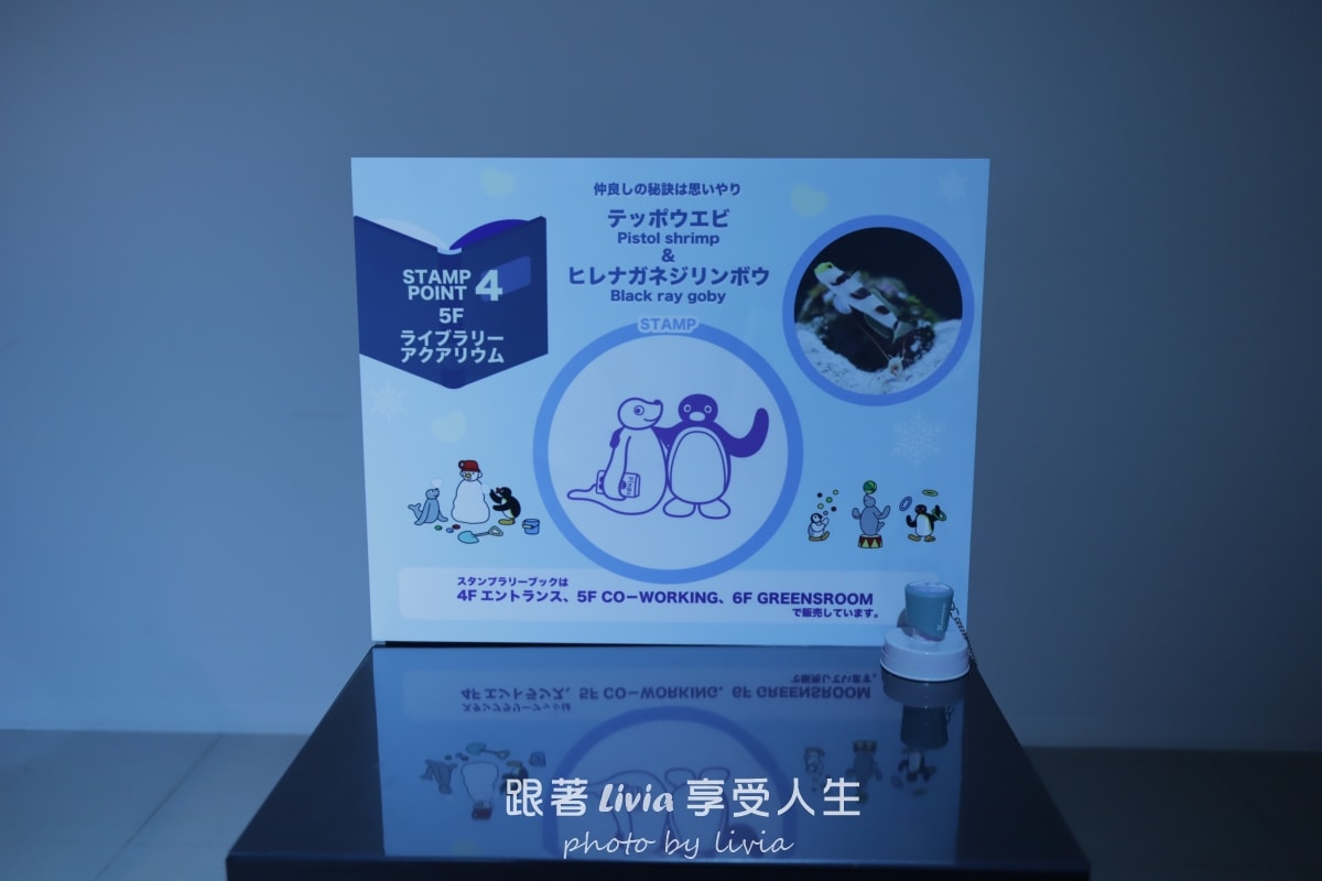 北海道室內親子景點｜AOAO SAPPORO水族館 狸小路必去！下雨下雪都能玩！