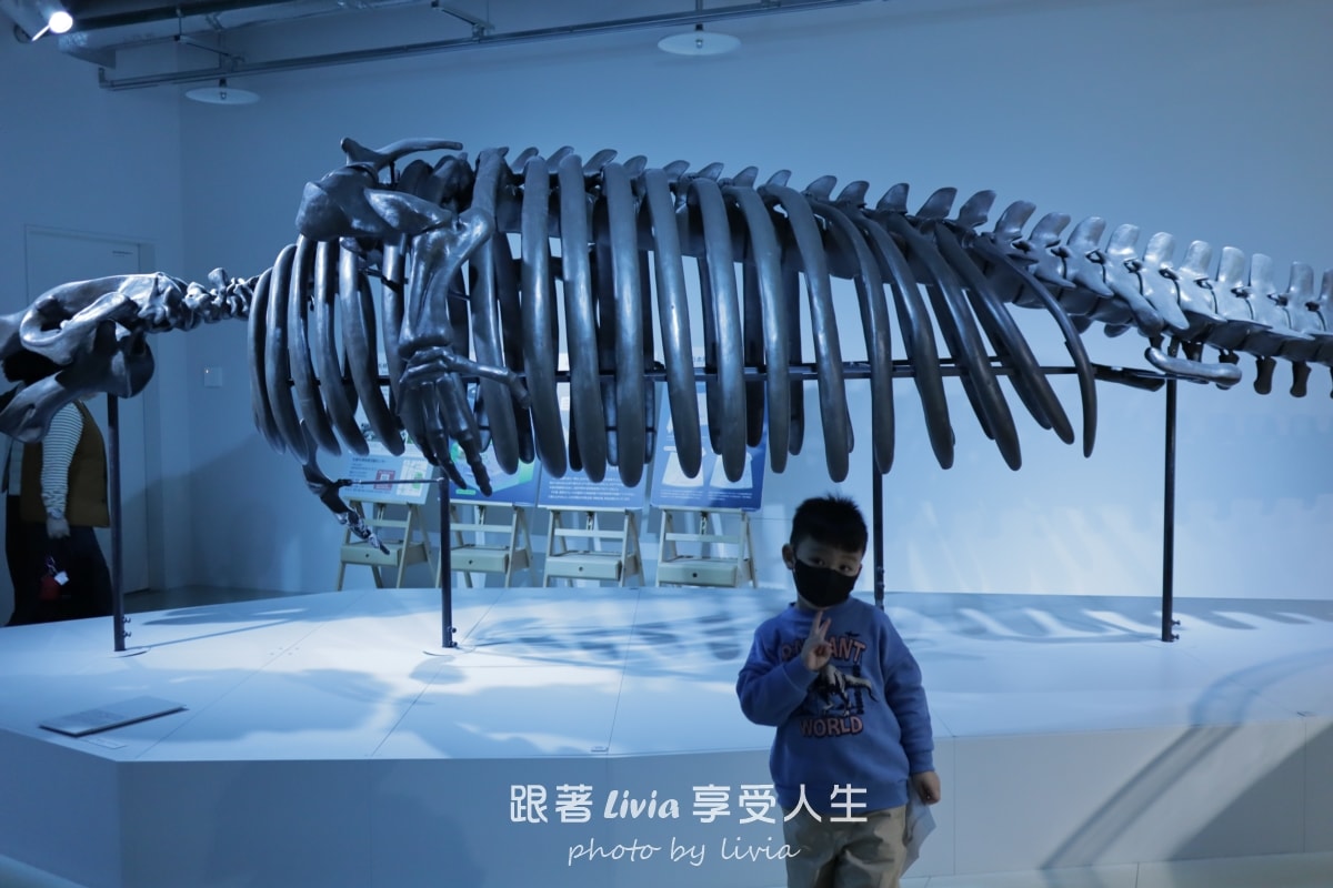 北海道室內親子景點｜AOAO SAPPORO水族館 狸小路必去！下雨下雪都能玩！