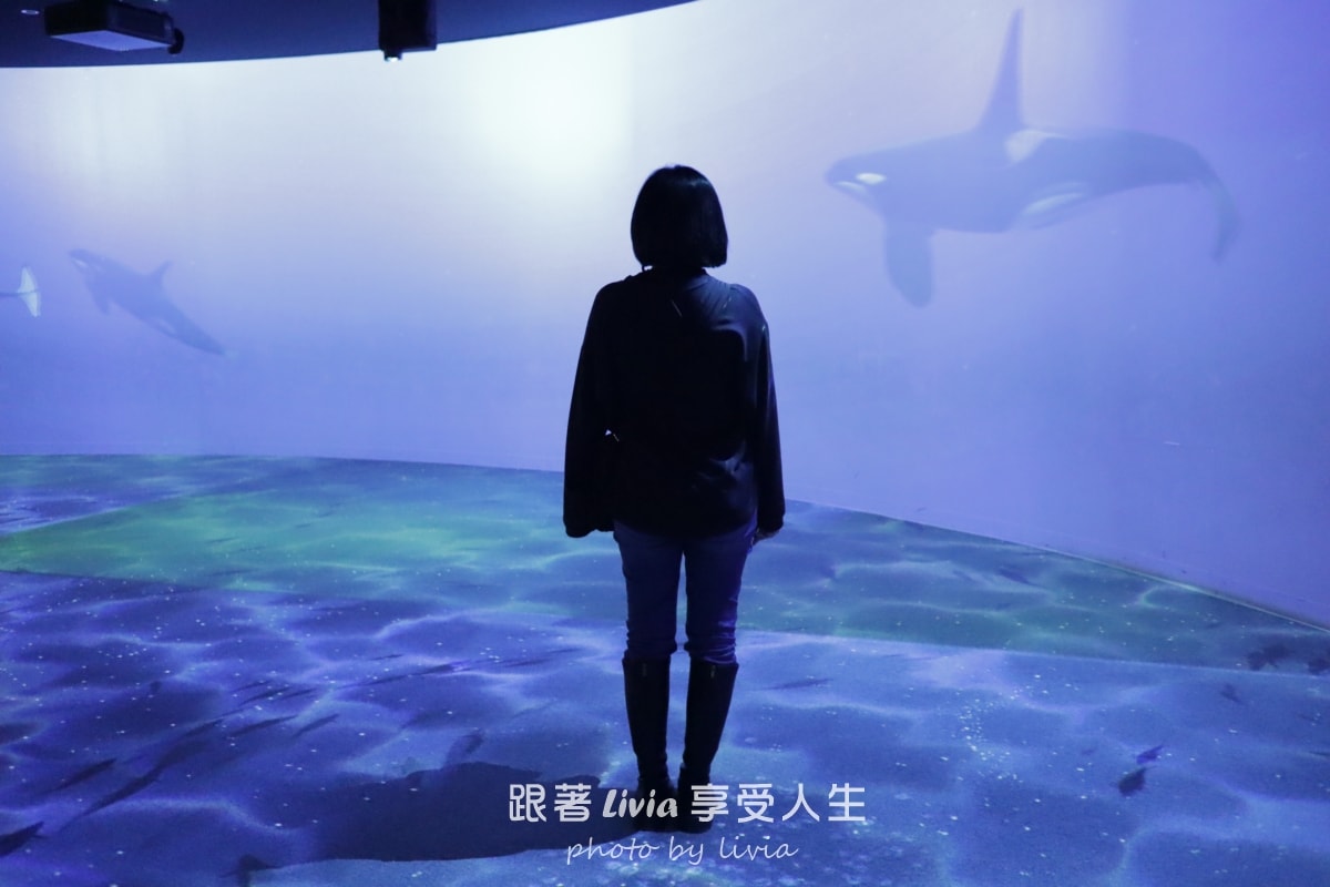 北海道室內親子景點｜AOAO SAPPORO水族館 狸小路必去！下雨下雪都能玩！