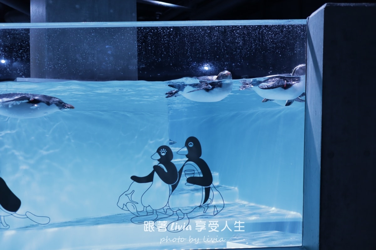 北海道室內親子景點｜AOAO SAPPORO水族館 狸小路必去！下雨下雪都能玩！