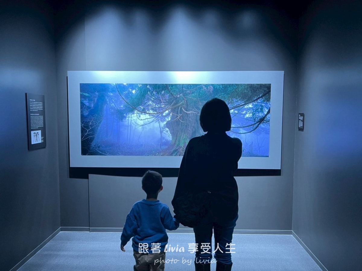 北海道室內親子景點｜AOAO SAPPORO水族館 狸小路必去！下雨下雪都能玩！