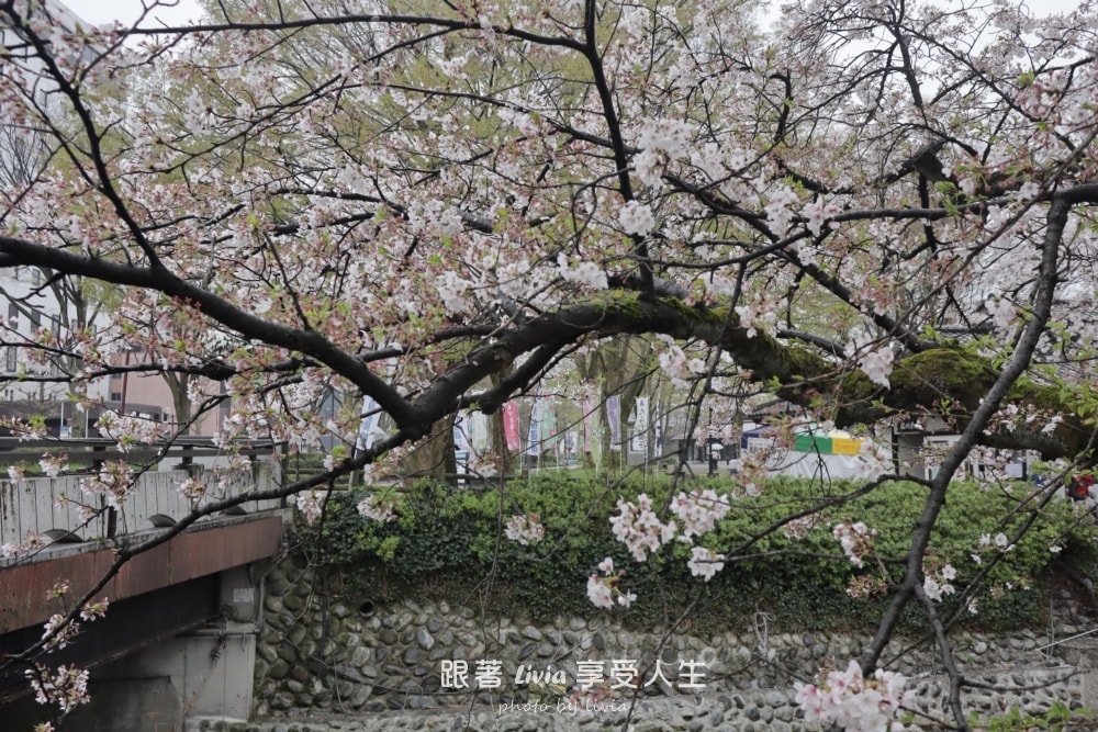 富山住宿｜ANAクラウンプラザホテル 富山全日空皇冠假日酒店 富山帶孩子入住分享，空間與早餐都很可以！
