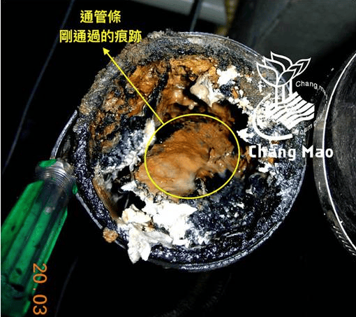 廚房排水又慢又有異味?專業廚房水管除油酵素推薦,還你清爽流理台! - 第3張圖 廚房排水又慢又有異味?專業廚房水管除油酵素推薦,還你清爽流理台!