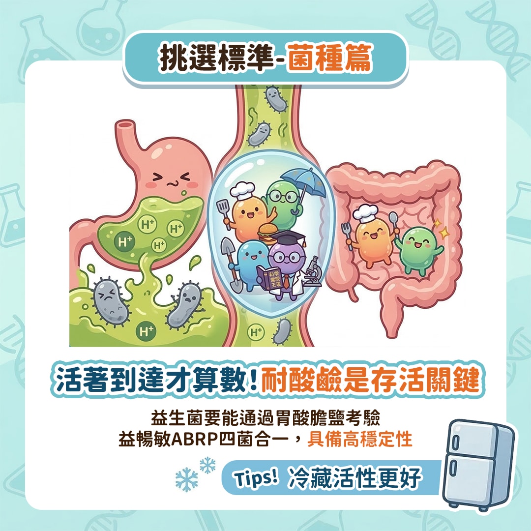 以為益生菌多吃就有用，結果繞了一圈才發現重點其實在這幾個！
