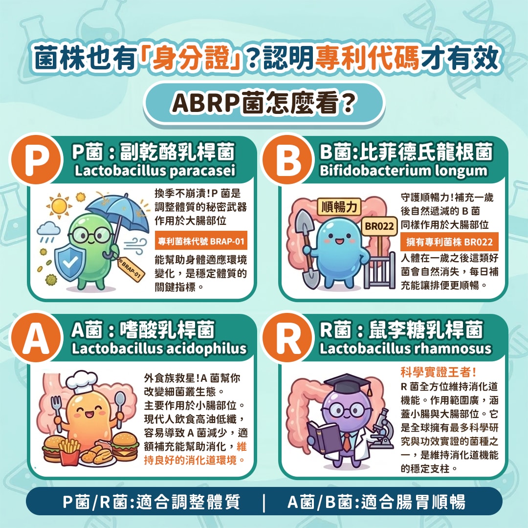 以為益生菌多吃就有用，結果繞了一圈才發現重點其實在這幾個！