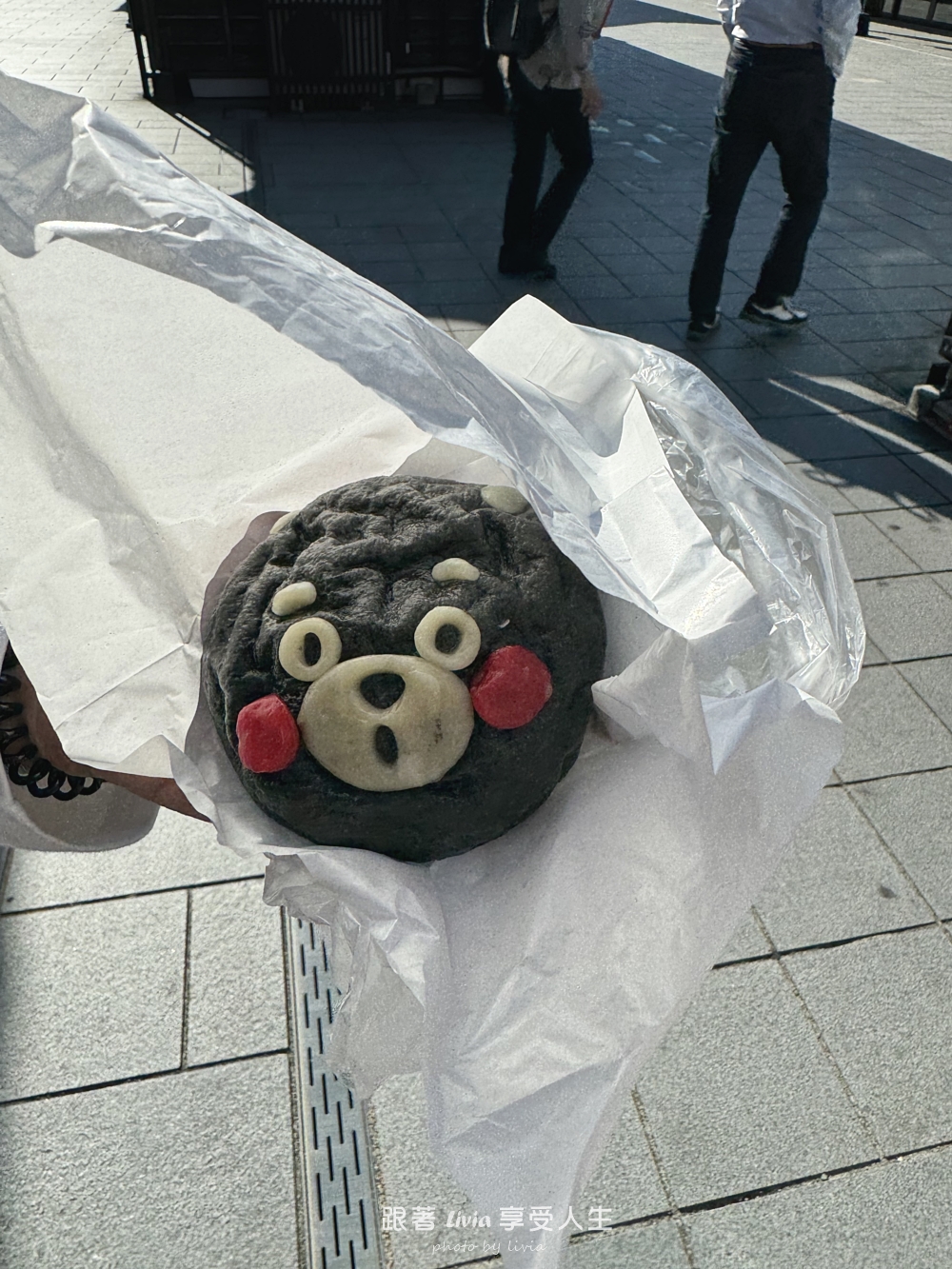 九州親子旅行｜從熊本萌熊電車玩到阿蘇草千里、高千穗峽，晚上入住溫泉飯店