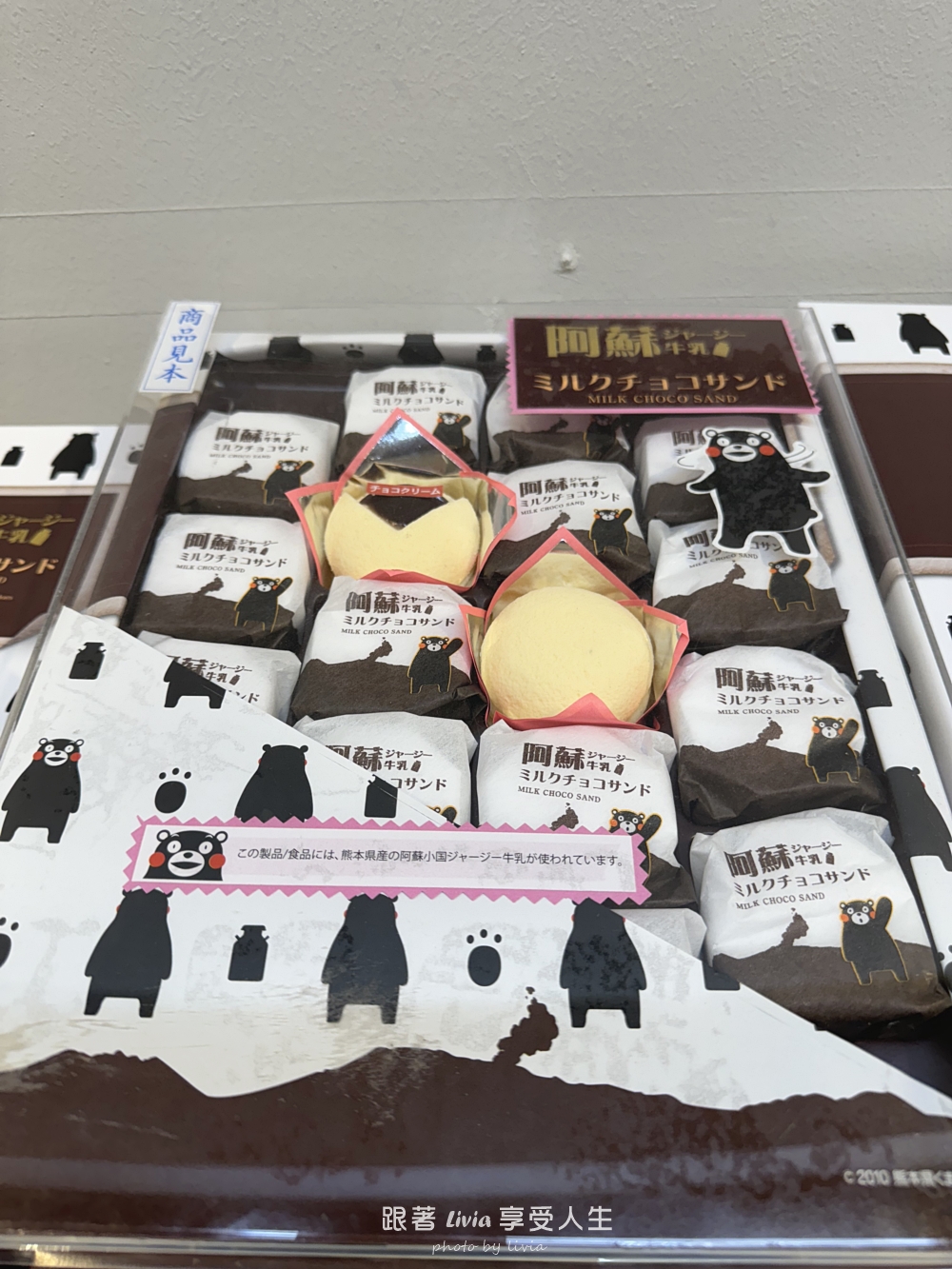 九州親子旅行｜從熊本萌熊電車玩到阿蘇草千里、高千穗峽，晚上入住溫泉飯店