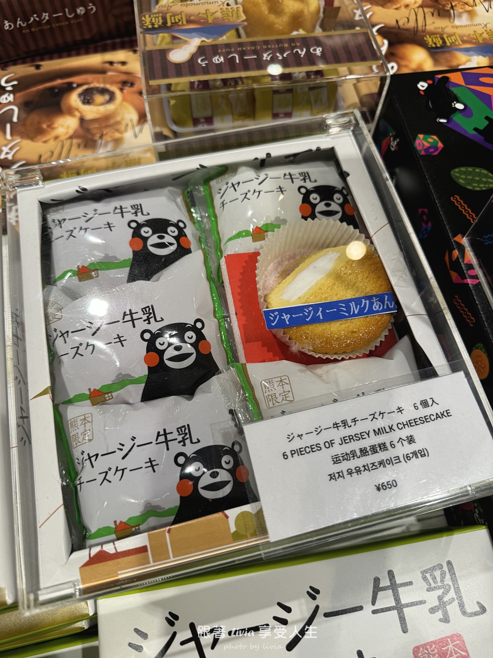 九州親子旅行｜從熊本萌熊電車玩到阿蘇草千里、高千穗峽，晚上入住溫泉飯店