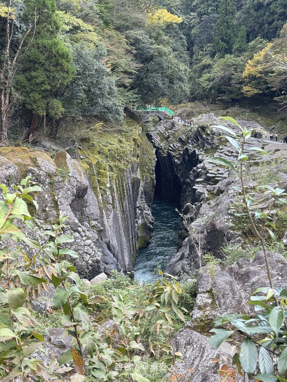九州親子旅行｜從熊本萌熊電車玩到阿蘇草千里、高千穗峽，晚上入住溫泉飯店