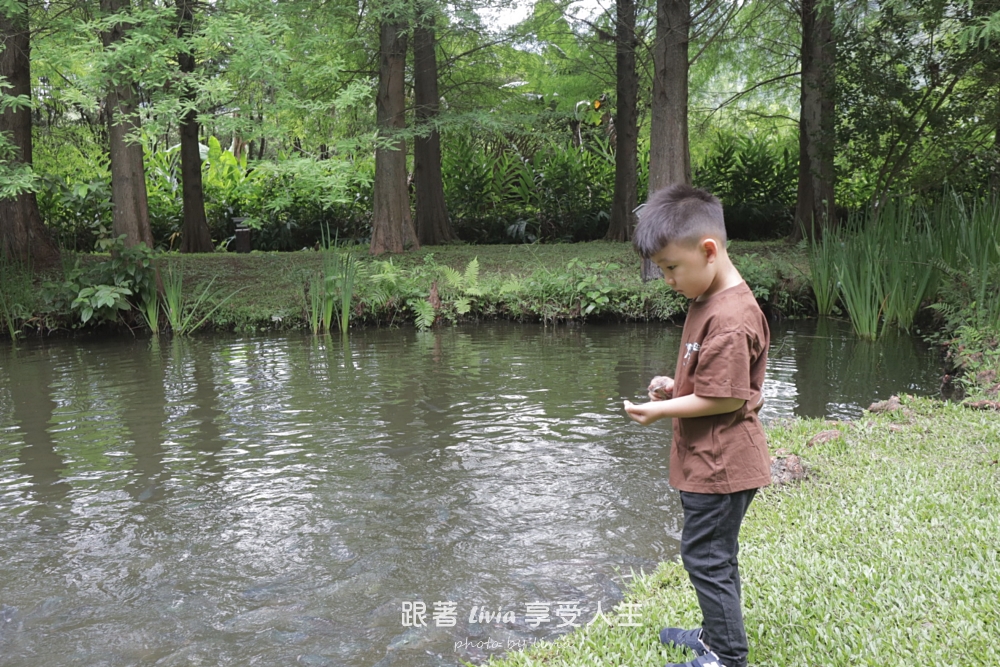 南投埔里住宿|慎重開華森林民宿,二樓隱樹雙人房很適合親子小旅行! - 第34張圖 南投埔里住宿|慎重開華森林民宿,二樓隱樹雙人房很適合親子小旅行!