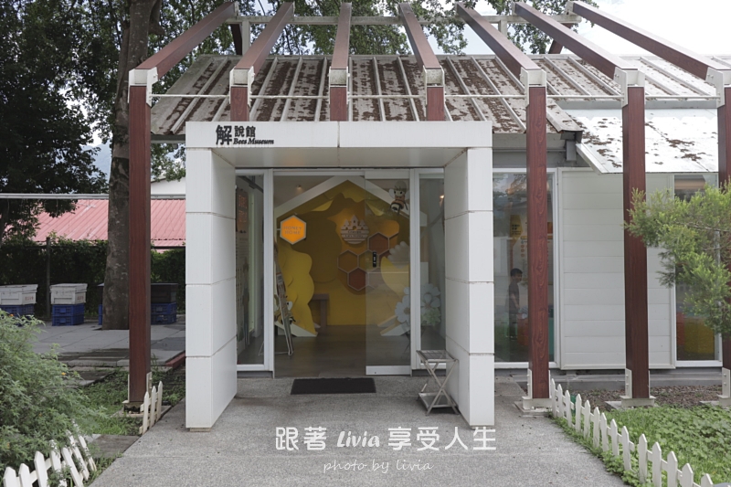 埔里親子景點｜賴爺爺蜜蜂小森林，認識蜜蜂、吃蜂巢冰淇淋，再手作一隻可愛小蜜蜂！