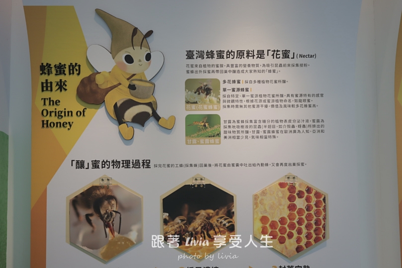 埔里親子景點｜賴爺爺蜜蜂小森林，認識蜜蜂、吃蜂巢冰淇淋，再手作一隻可愛小蜜蜂！