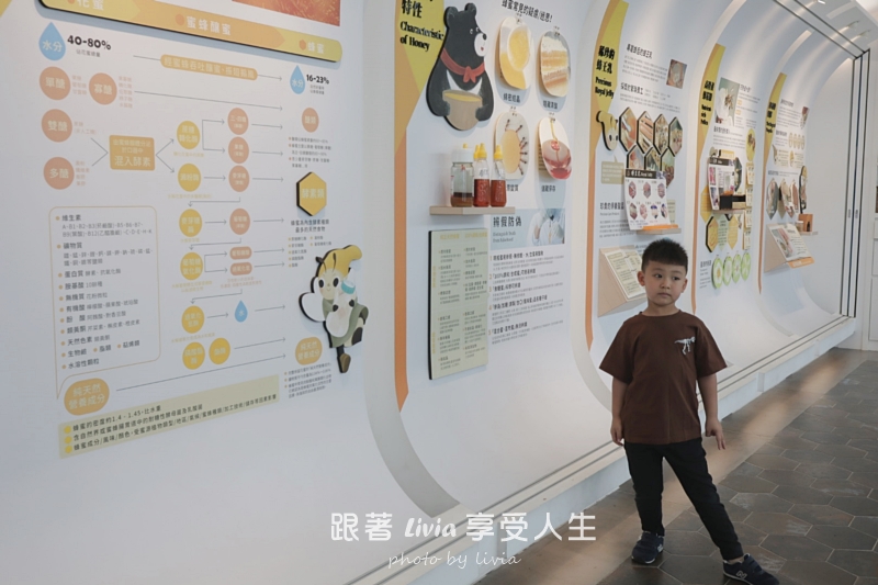 埔里親子景點｜賴爺爺蜜蜂小森林，認識蜜蜂、吃蜂巢冰淇淋，再手作一隻可愛小蜜蜂！