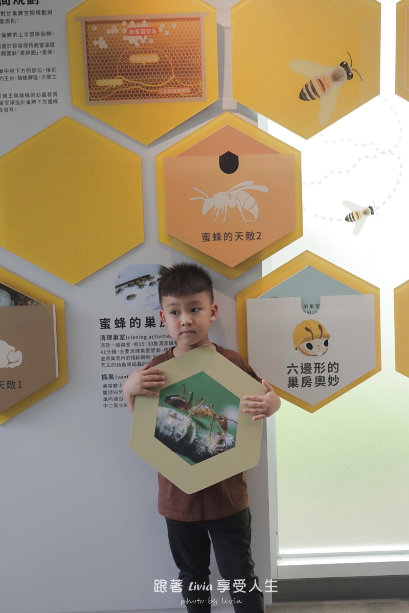 埔里親子景點｜賴爺爺蜜蜂小森林，認識蜜蜂、吃蜂巢冰淇淋，再手作一隻可愛小蜜蜂！