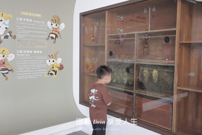 埔里親子景點｜賴爺爺蜜蜂小森林，認識蜜蜂、吃蜂巢冰淇淋，再手作一隻可愛小蜜蜂！