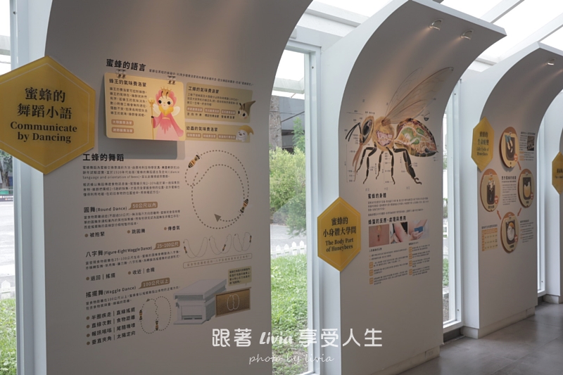 埔里親子景點｜賴爺爺蜜蜂小森林，認識蜜蜂、吃蜂巢冰淇淋，再手作一隻可愛小蜜蜂！