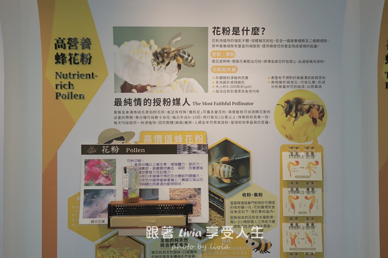 埔里親子景點｜賴爺爺蜜蜂小森林，認識蜜蜂、吃蜂巢冰淇淋，再手作一隻可愛小蜜蜂！