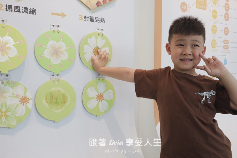 埔里親子景點｜賴爺爺蜜蜂小森林，認識蜜蜂、吃蜂巢冰淇淋，再手作一隻可愛小蜜蜂！