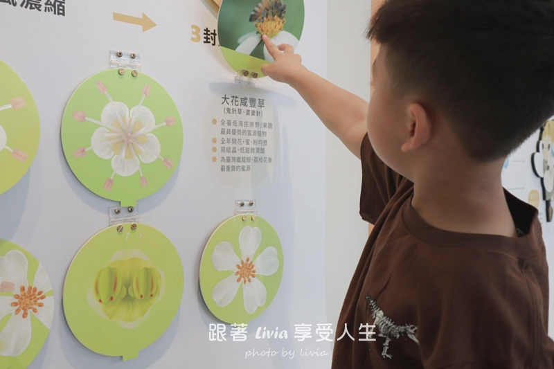 埔里親子景點｜賴爺爺蜜蜂小森林，認識蜜蜂、吃蜂巢冰淇淋，再手作一隻可愛小蜜蜂！