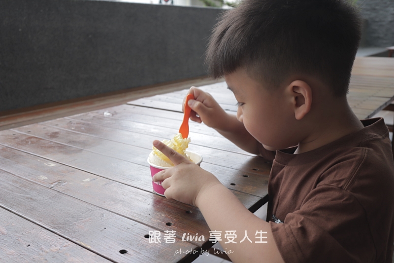 埔里親子景點｜賴爺爺蜜蜂小森林，認識蜜蜂、吃蜂巢冰淇淋，再手作一隻可愛小蜜蜂！
