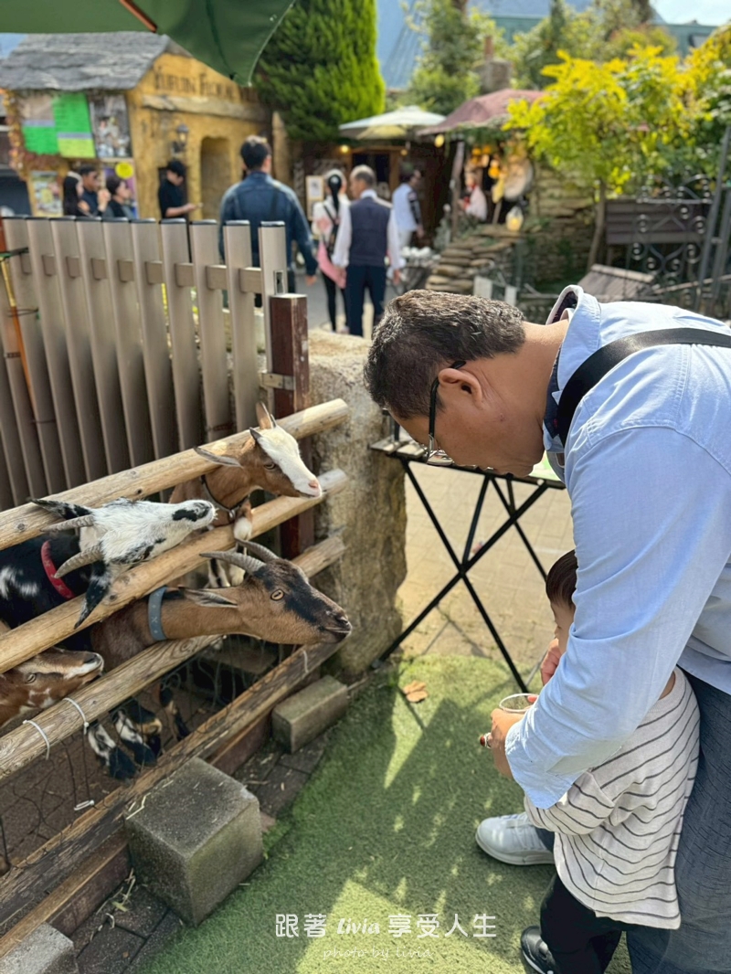 九州親子旅行|從別府海地獄玩到湯布院、門司港,帶孩子長輩也能順順走 - 第33張圖 九州親子旅行|從別府海地獄玩到湯布院、門司港,帶孩子長輩也能順順走