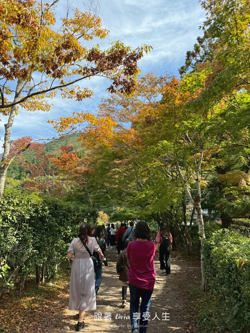 九州親子旅行|從別府海地獄玩到湯布院、門司港,帶孩子長輩也能順順走 - 第49張圖 九州親子旅行|從別府海地獄玩到湯布院、門司港,帶孩子長輩也能順順走